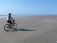 29733RoCrLe - Vacation at Kiawah Island, SC - Beach bike ride with Beth   Each New Day A Miracle  [  Understanding the Bible   |   Poetry   |   Story  ]- by Pete Rhebergen